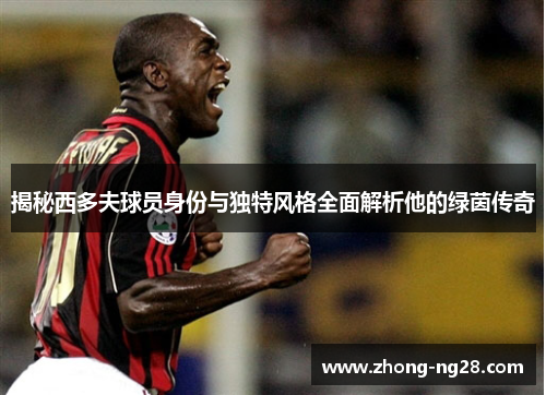 揭秘西多夫球员身份与独特风格全面解析他的绿茵传奇